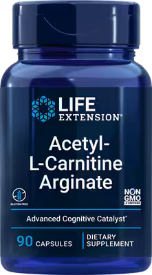 Acetyl L Carnitine 600 Len/ 90