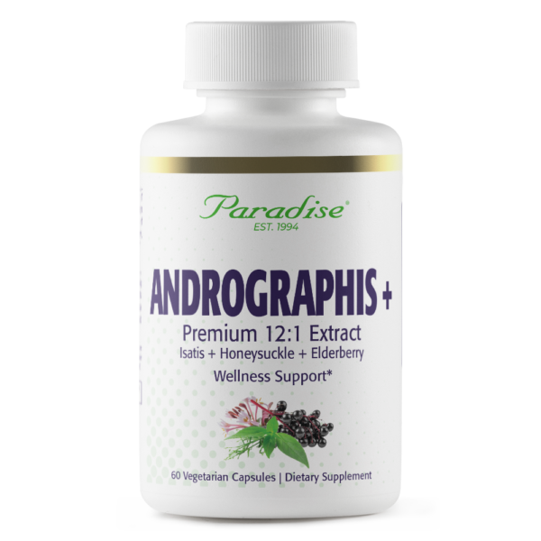 Andrographis W/Elder Pde/ 60