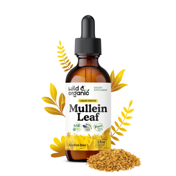 Mullein Leaf Liquid Tincture/Drops Alcohol Free 2 fl. oz.