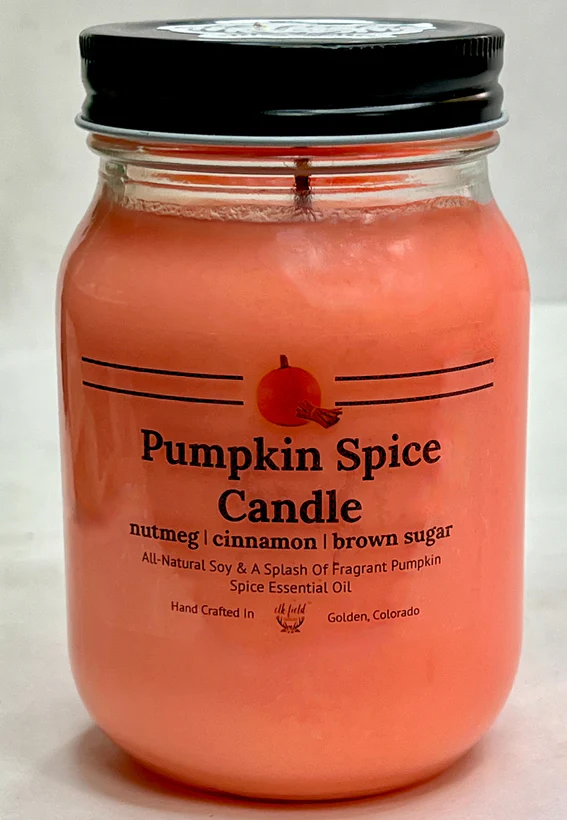 Candle Pumpkin Spice (15 oz)