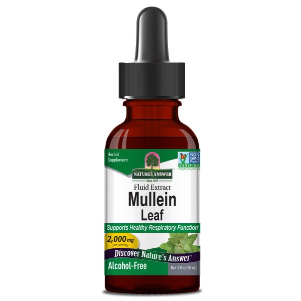 Mullein Leaf Low Alcohol 1 fl. oz.