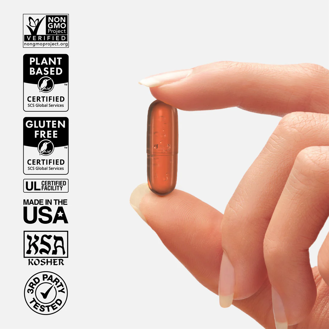 Ginger capsules standardized - Image 4