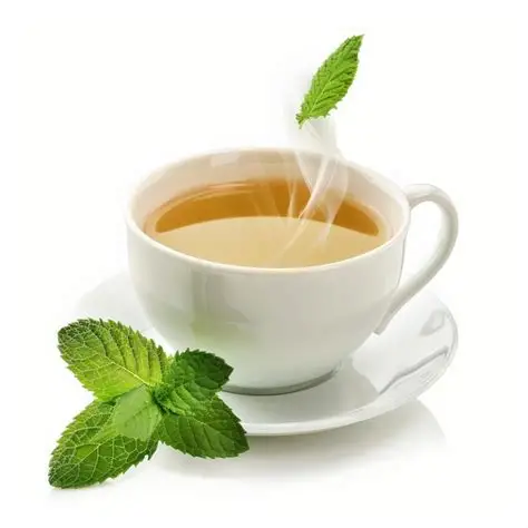 Peppermint Tea Organic (20 bags)