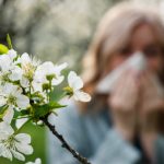 Woman,Sneezing,And,Blowing,Nose,In,Blooming,Park.,Spring,Pollen